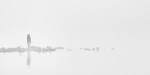 Competition entry: Fishing in the Fog