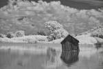 Competition entry: Submerged Shack