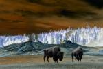 Competition entry: Yellowstone