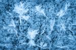 Competition entry: Icy Details